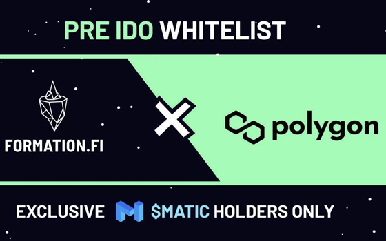 Formation Fi - Polygon IDO Whitelist
