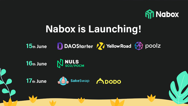 Nabox IDO Whitelist on YellowRoad