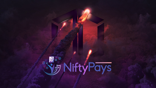 NiftyPays IDO Whitelist